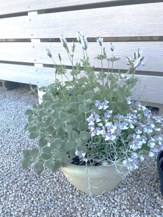 米子市 外構デザイン 鉢植えの植栽で彩る玄関まわり